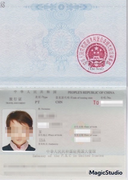 中国旅行证的内容页